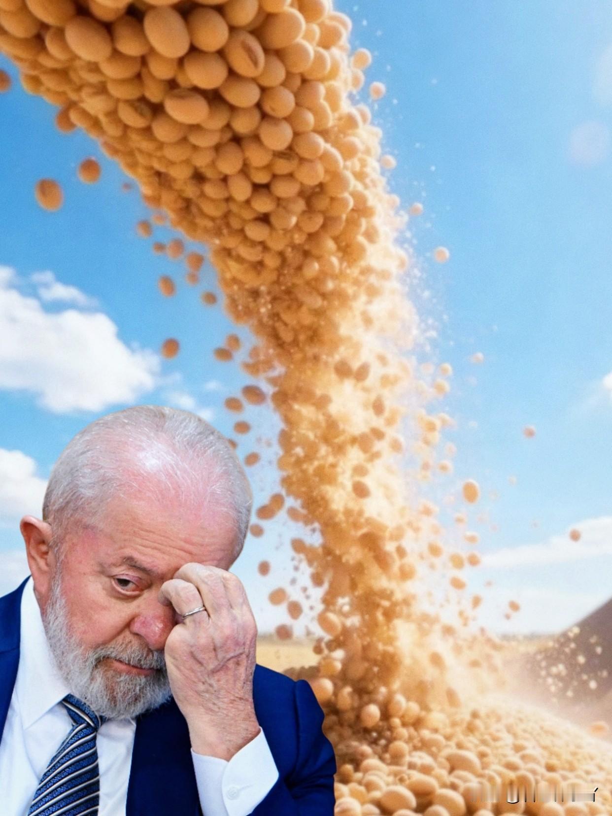 又有新消息巴西大豆价格攀升至650美元/吨,这让巴西大豆商欣喜不已——他们笃