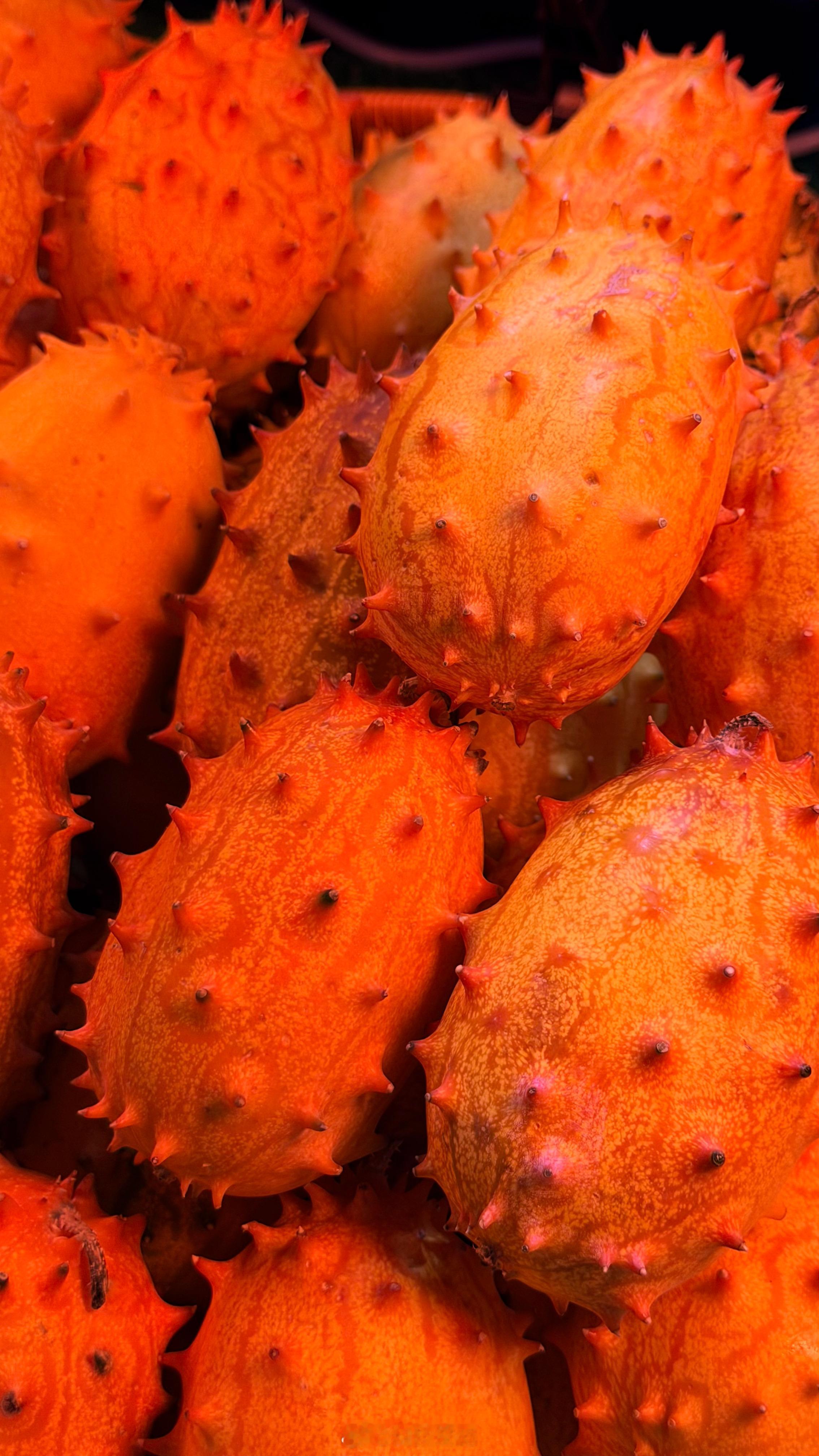 这是海贼王里的恶魔果实吗？