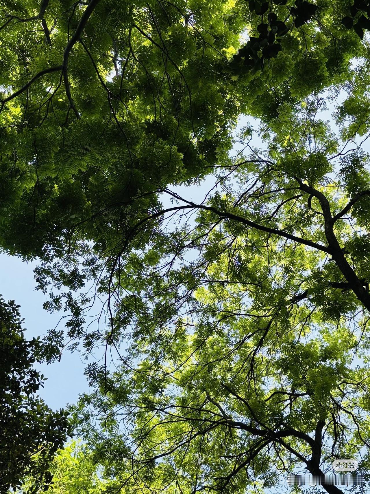 我68岁，老伴70岁，我们俩都没退休金，靠一年6万的租金和以前的积蓄生活。活到
