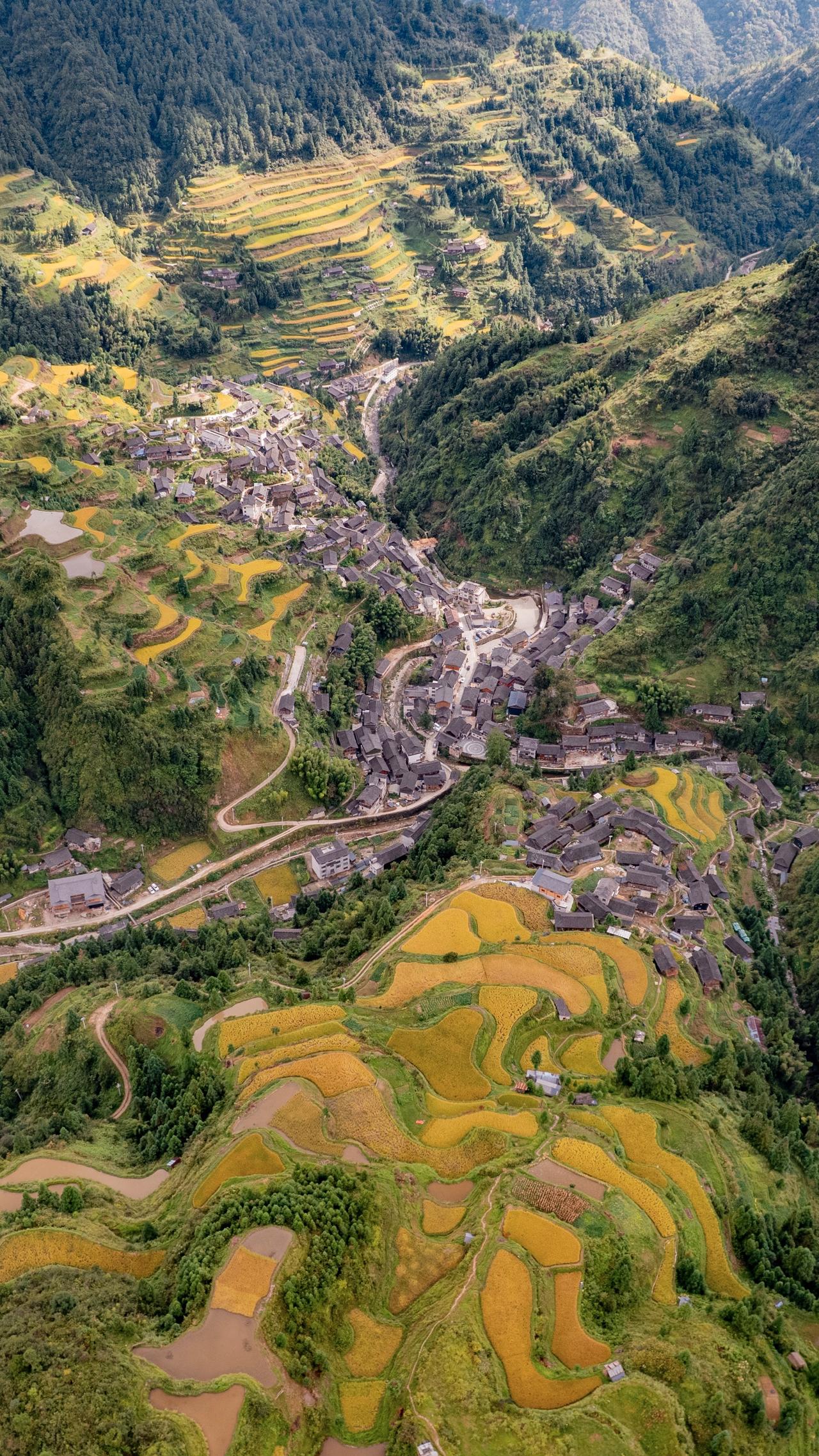 治愈系风景秋天航拍乡村