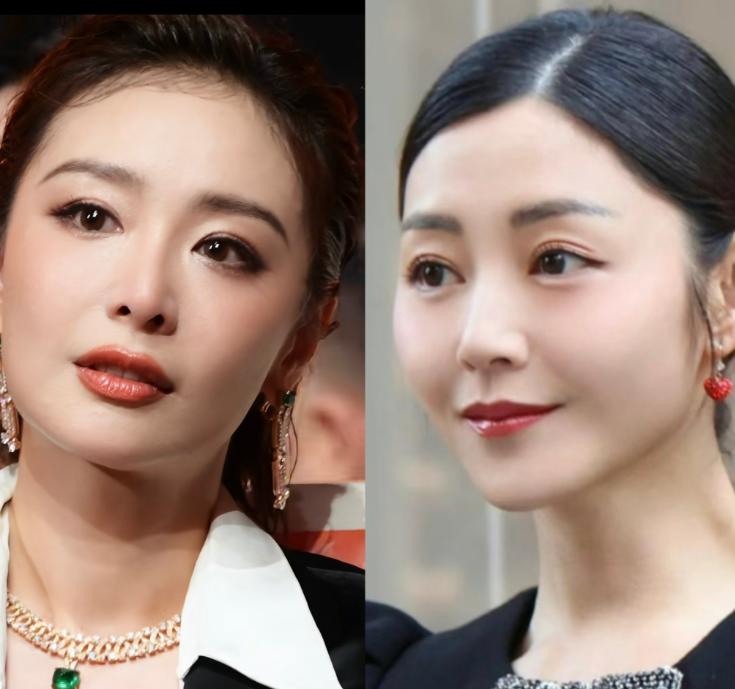 高叶这次没能获奖其实是有原因的。不是她的演技不好，也不是剧本不好，而是高叶的《南