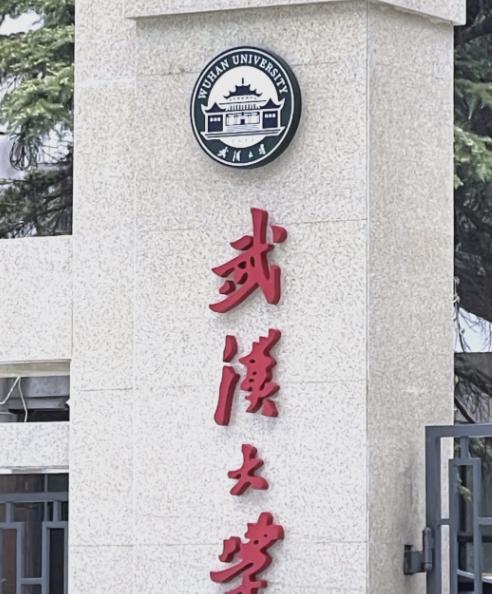 简直不要太无耻！处分不撤还甩锅给别人武大这事做的不地道法院已经判了杨同