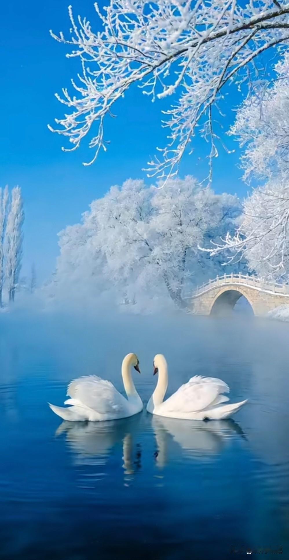 上联：半盏清茶观明月，下联：满庭花雨醉春风。