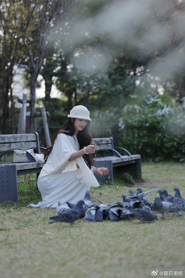 好喜欢各种蝴蝶元素