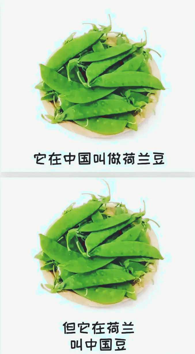 这货到底经历了什么