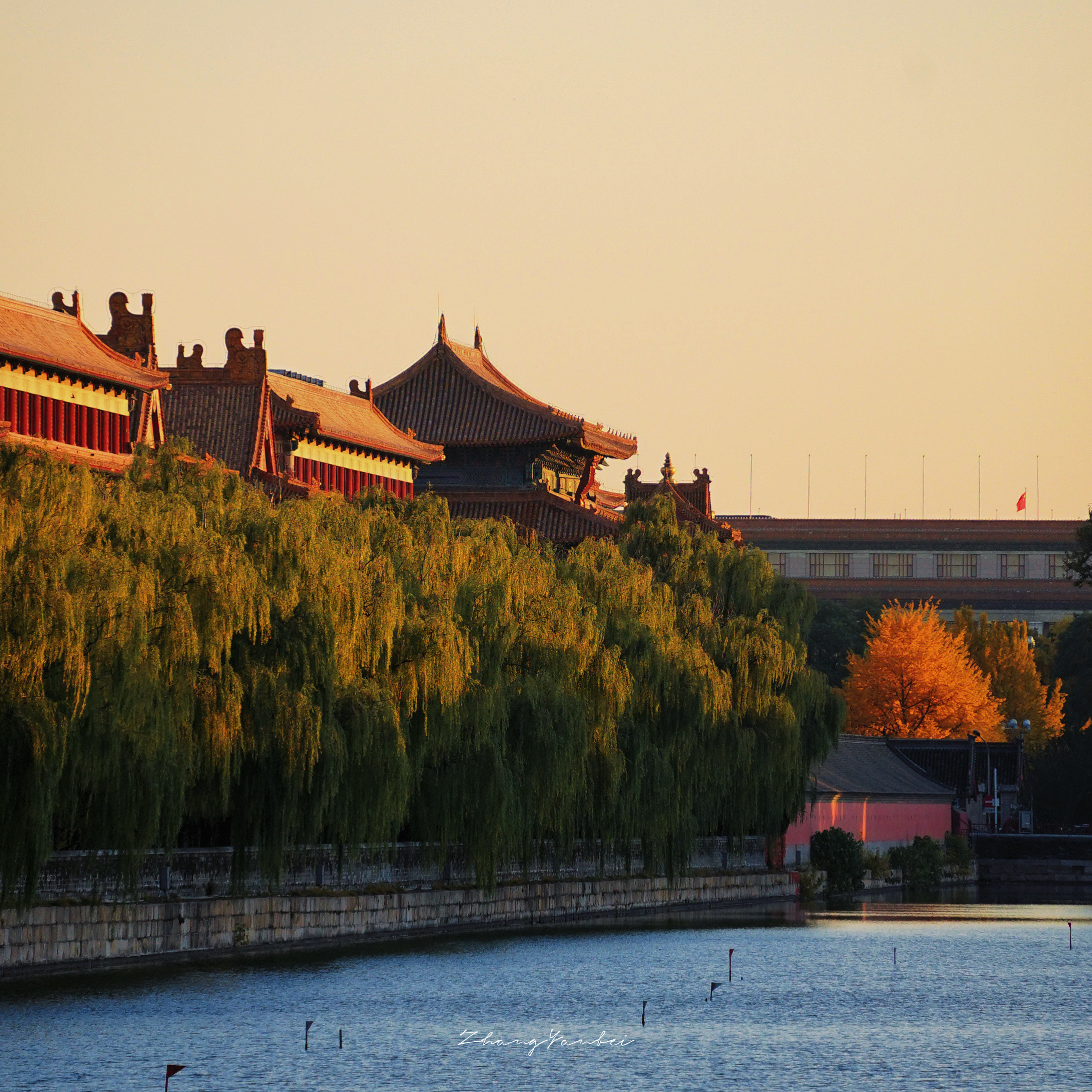 无缘南方的秋唯有想北平摄影