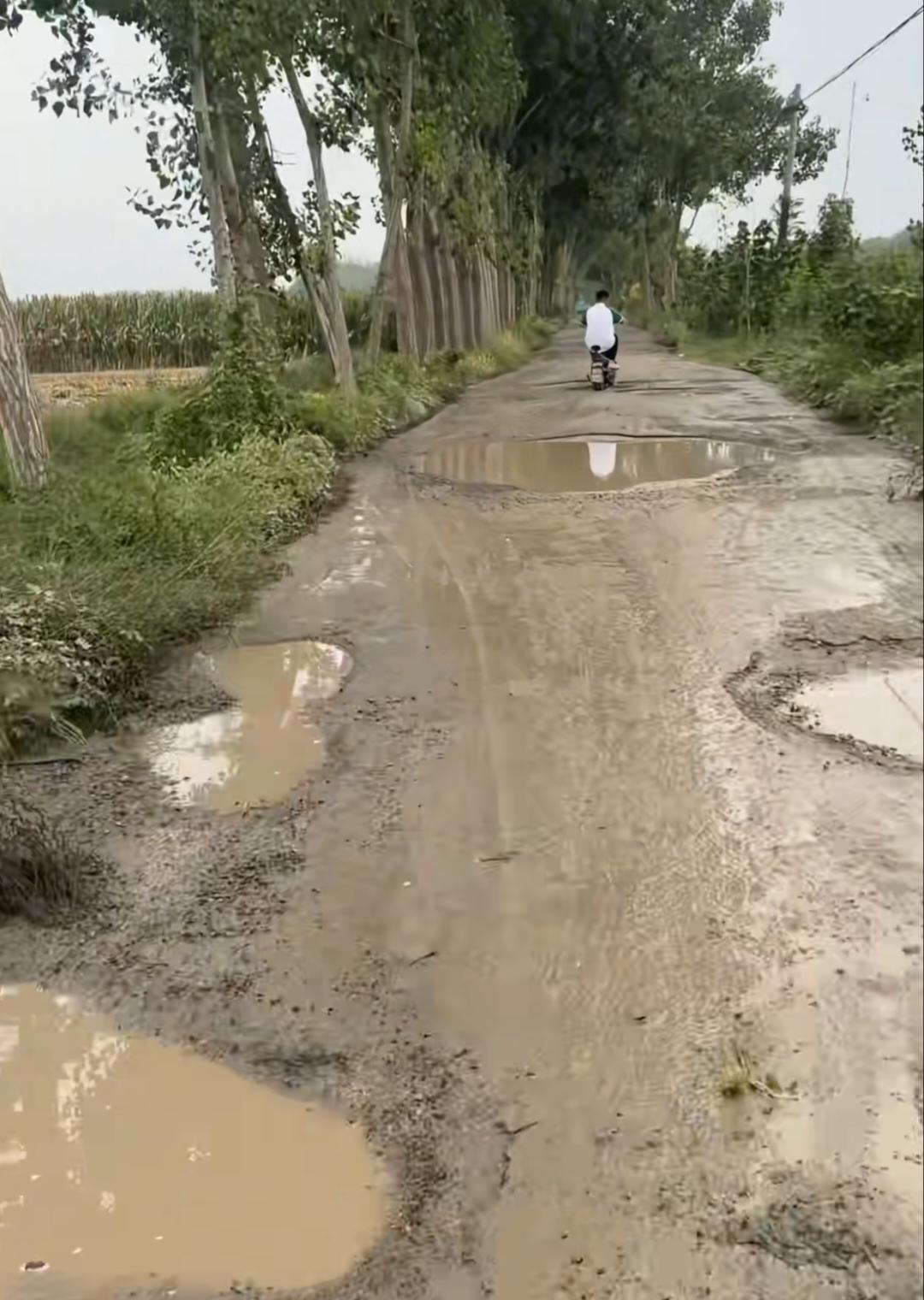 河南的雨，好像下了半个世纪前半个月哩哩啦啦没有停后半个月啦啦哩哩一刻也没停下