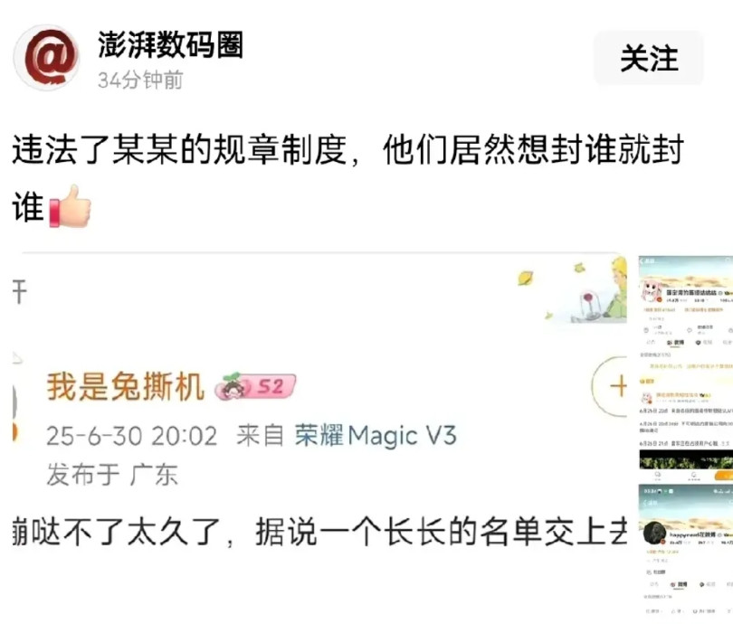 这哥们双标的有点狠啊当初华系博主被禁言的时候我看他高兴得很，还说舆论环境越来越
