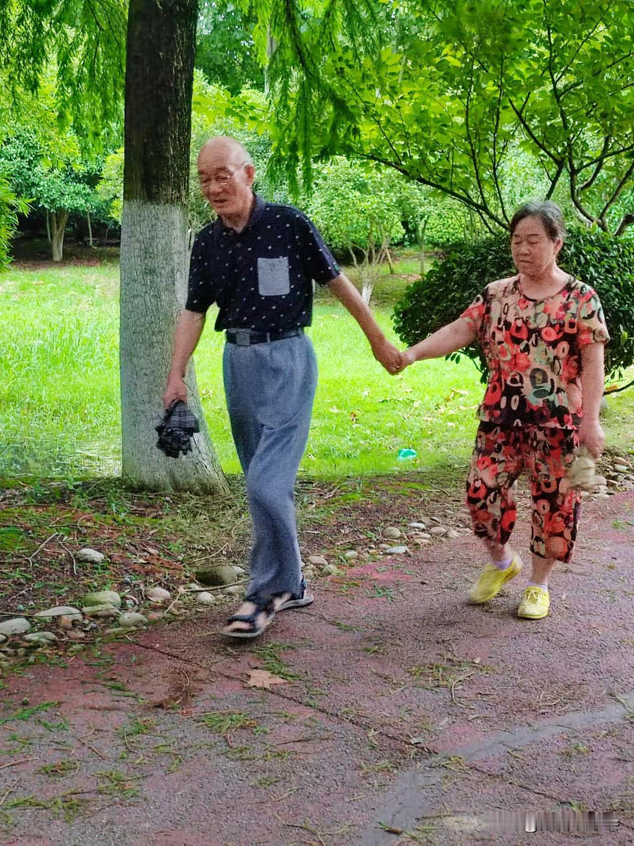 这或许便是人人艳羡的“执子之手，与子偕老”吧！这对老夫老妻，向人们阐释了老伴的