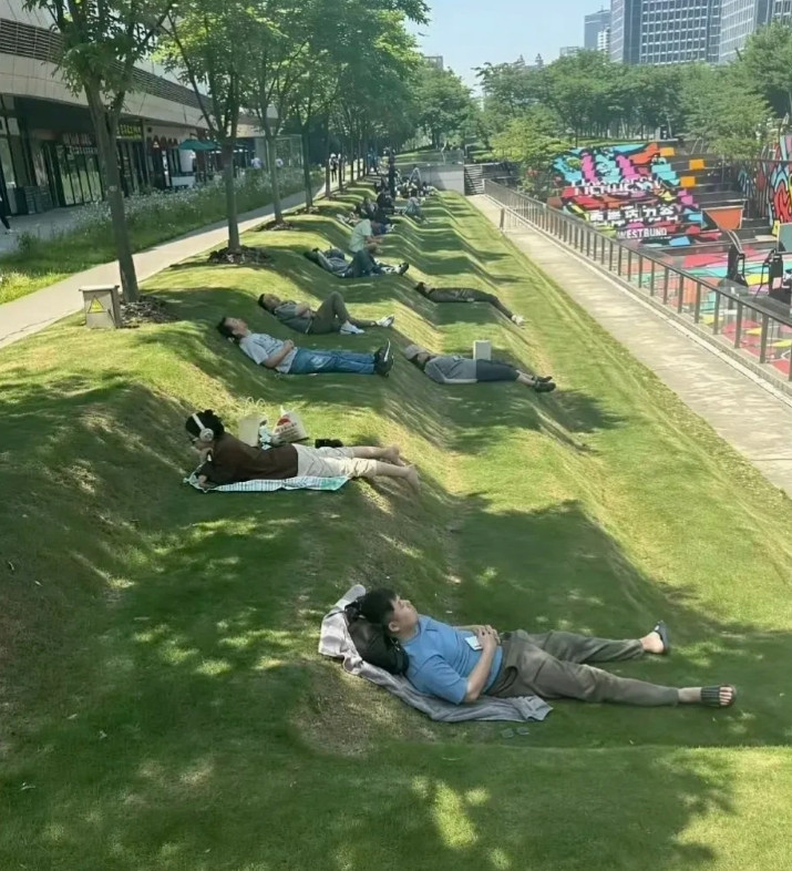 草坪的设计师也是人才，这样午睡真是打工仔的天堂