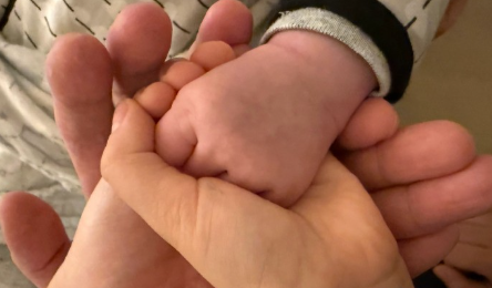 娱乐圈有一个生子规律那就是安安静静的生儿子热热闹闹的生女儿又一个安安静静