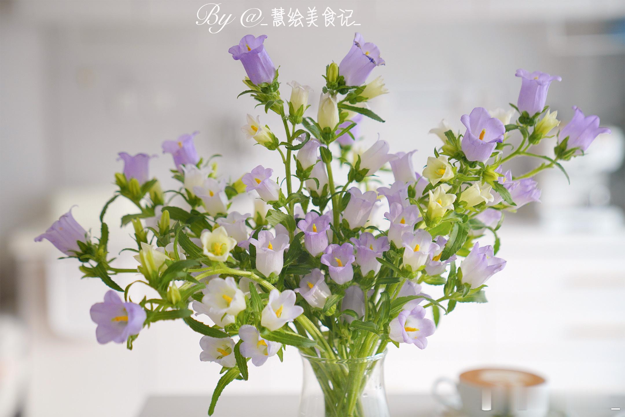 周末愉快早餐南瓜贝果、拿铁咖啡、虾仁豆腐、香菇油菜、小米粥、坚果~我的美食日记