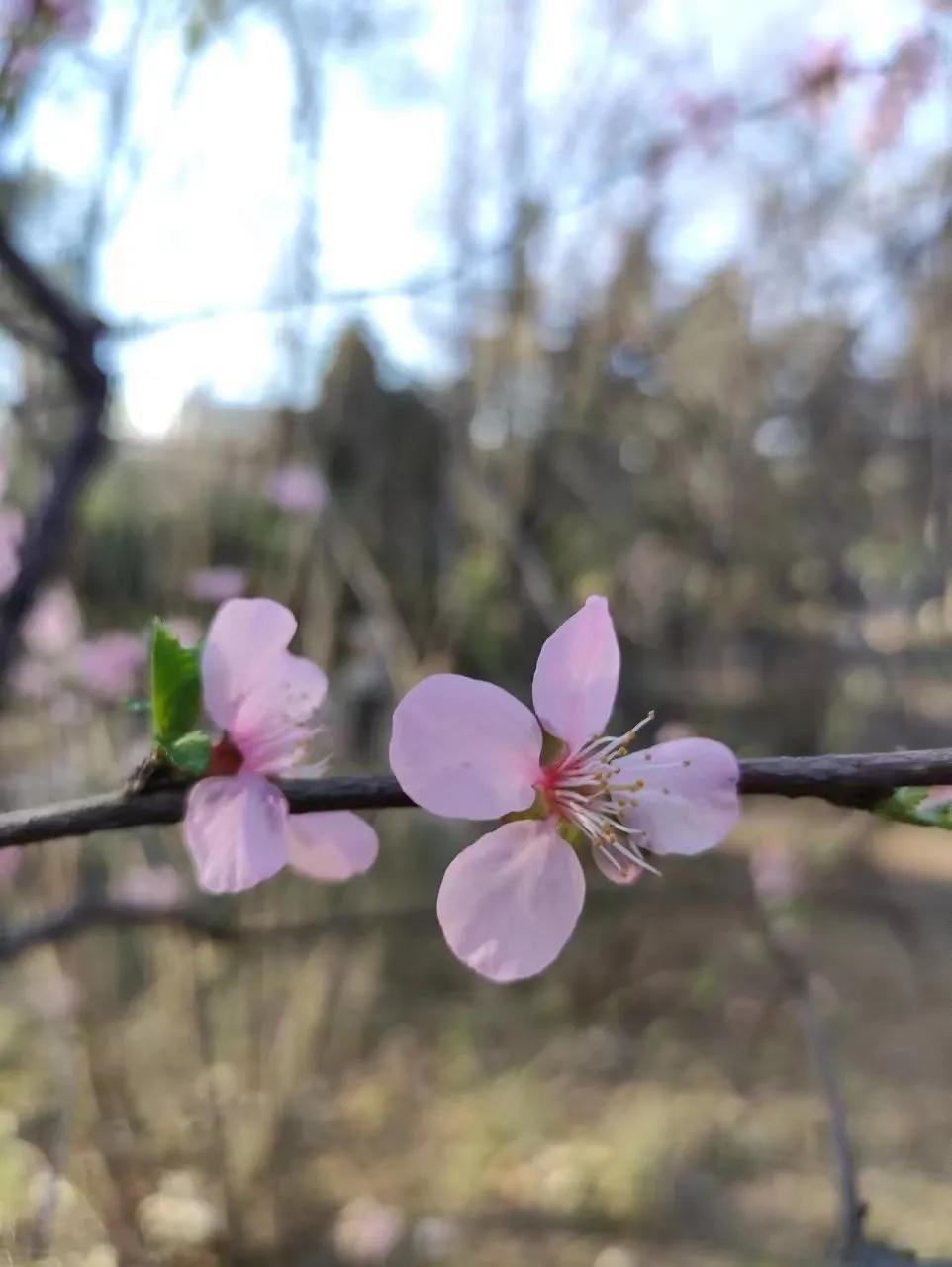 父母一定要讲给孩子的七句话，受用一生：1、自己的事情自己做，不偷懒、不推