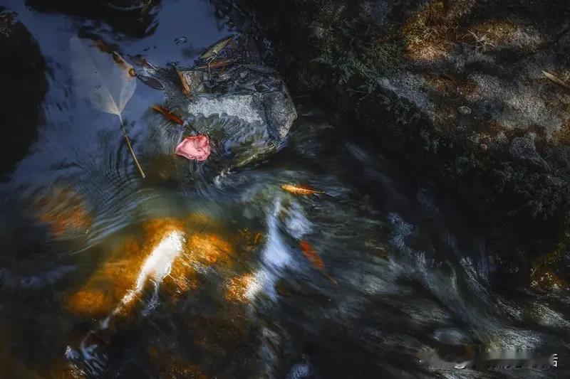 聪明人皆“装糊涂”，此乃顶级生存智慧。偏印型人格能瞬间看透本质，却活得最累。