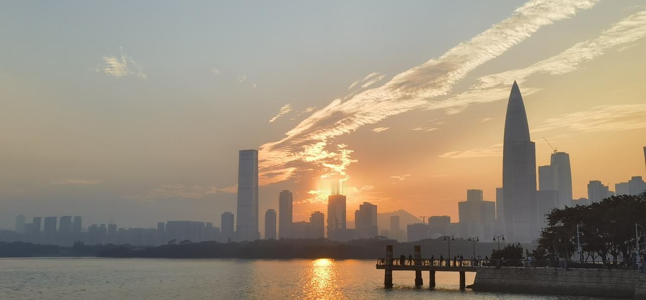 深圳湾冬日拾景北国皑皑早冰封，琼瑶飘落叶枯零。鹏城暖阳天天是，户外单衣