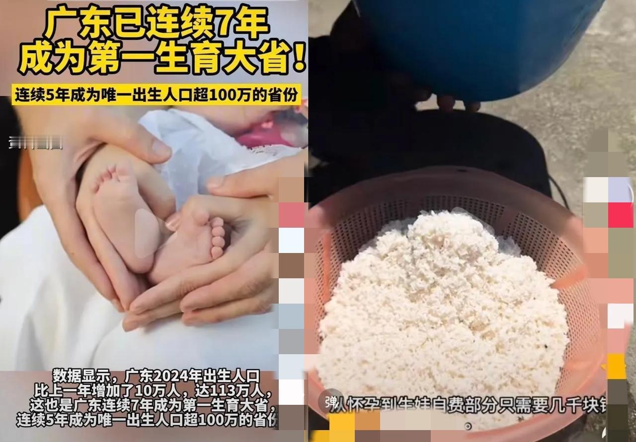广东连续7年稳坐生育第一大省，靠的从不是“重男轻女”，而是钱、政策和文化的三重底