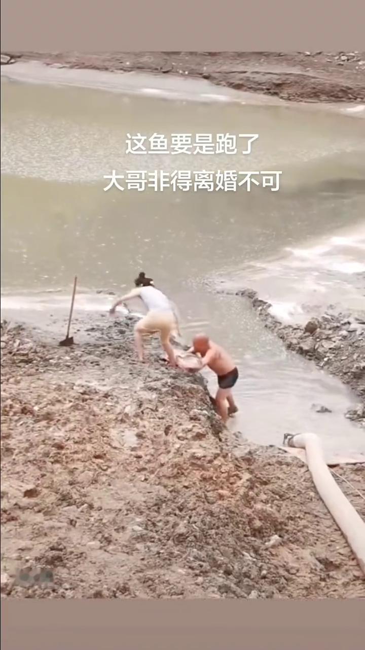 这鱼要是跑了，大哥非得离婚不可。人生。