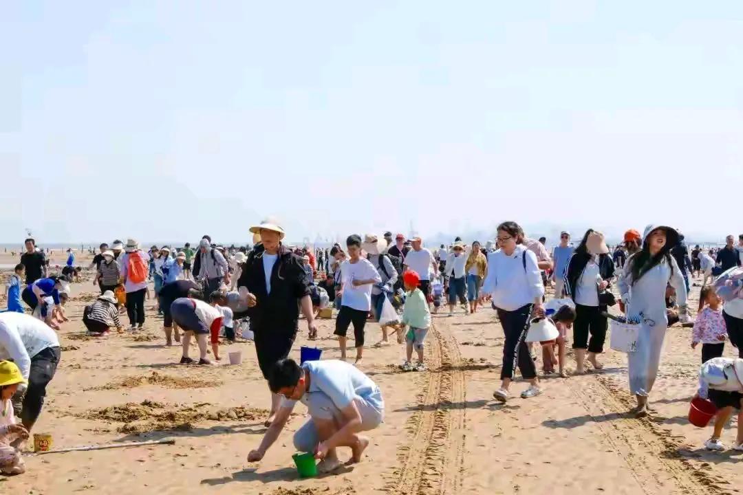 以后“五一”出去玩再也不自己开车了。到一个4线海边城市去玩，一下高速就开始堵，整