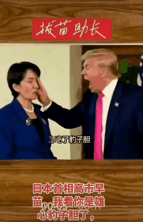 主人在训狗！这次能记住不？