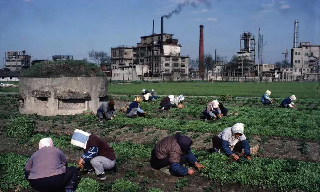 1980年，上海郊外一处菜地里，妇女们正在干活。在她们身后不远处，有一个圆柱形建
