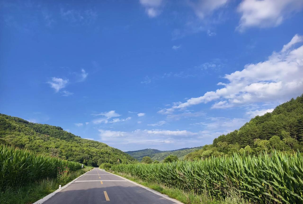自驾选了这条路，真真是太美了，路上碰到松鼠野鸡和野兔，但是这路一环一环的好长啊，