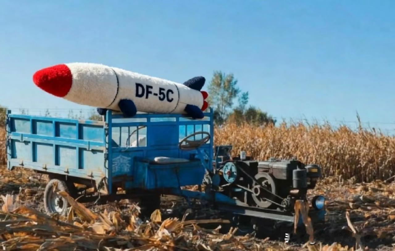 你们到底怕不怕打仗？现在中日关系闹得挺僵，新闻里天天说这说那，有时候真觉得