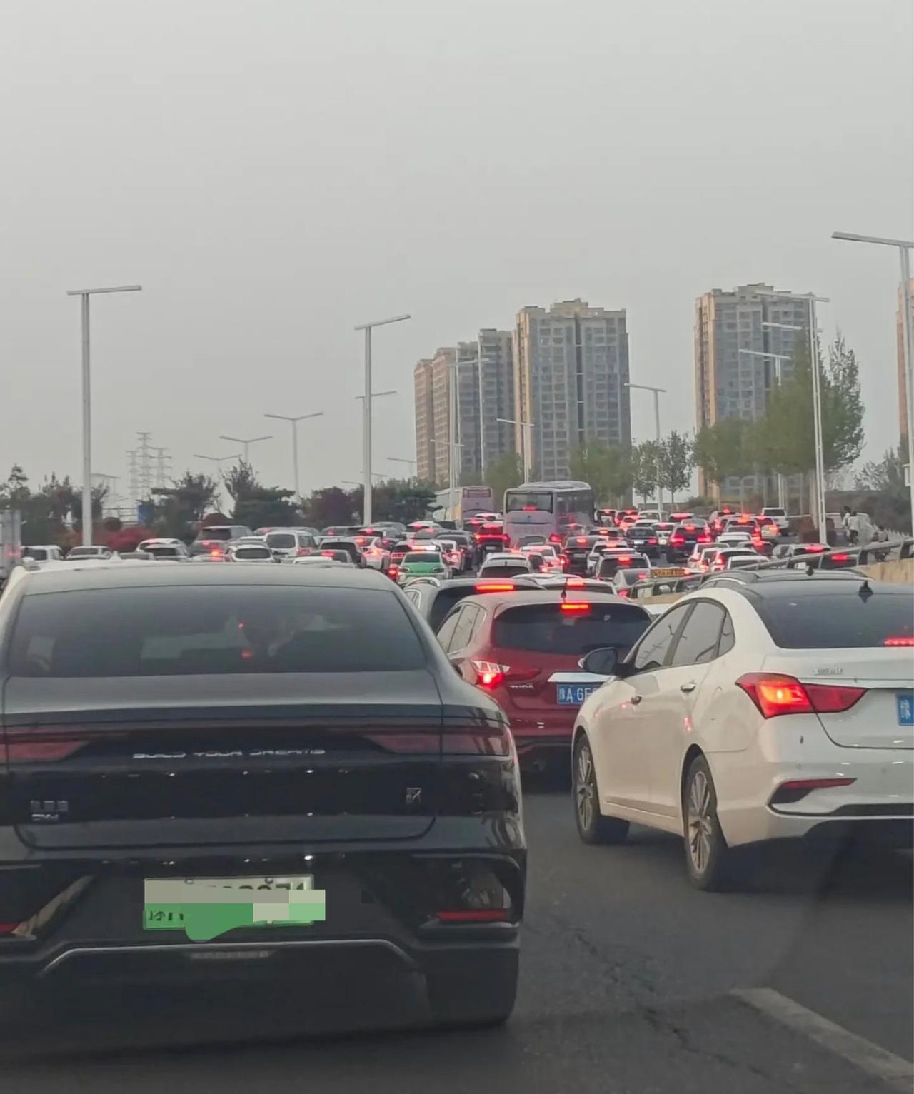 凡是回家扫墓的，基本就两种人。一种是把清明当成必做的传统习俗，不管怎么样，每年都