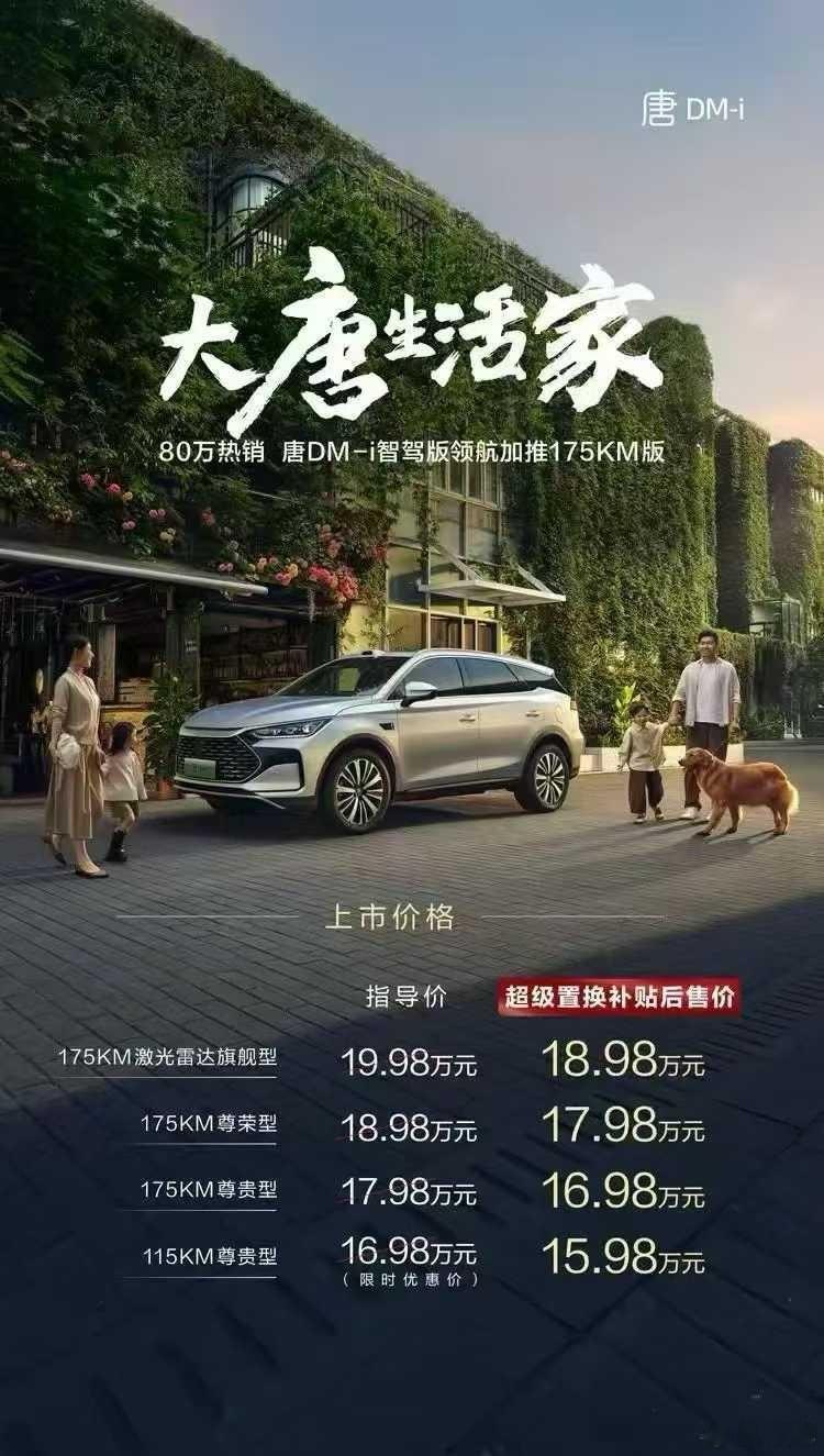 比亚迪唐DM-i智驾版也追加了175km纯电续航的版本，算上目前配套的置换补贴优