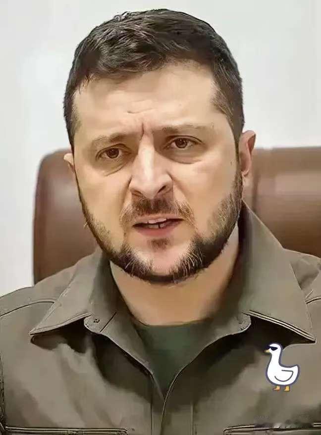 泽连斯基死守顿巴斯，1380万吨锂矿成西方博弈关键！