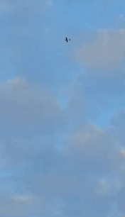来而不往非礼也，乌克兰对莫斯科进行了大规模空袭，以回应俄罗斯对基辅的大规模空袭。