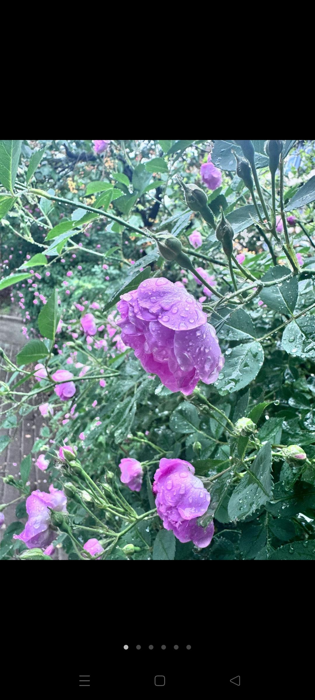 人到中年，房贷还清了，不要跟别人说。我们家有两套房子，第2套房子的房贷是2023