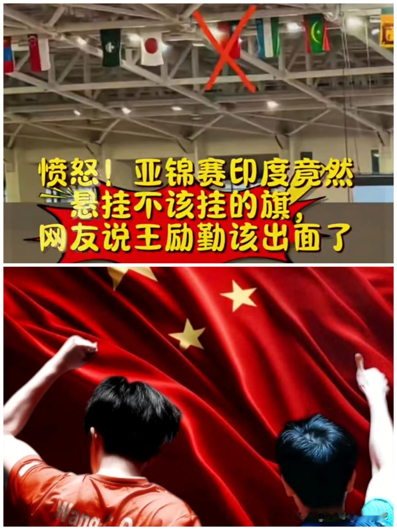 挂了不该挂的旗，已经不是道歉问题，王励勤有退赛的魄力吗？我觉得各种协会挂什