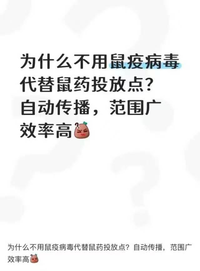 互联网就是这样，谁都能分享自己的观点，包括老鼠……