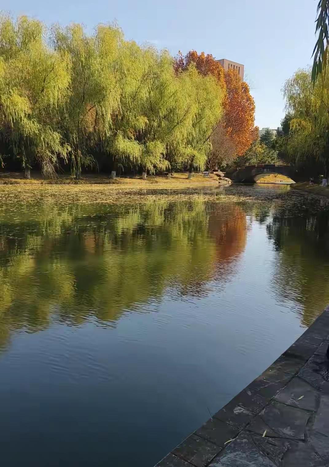 关于安徽某高校大一女生晚间坠湖一事，与家属不一样的声音出现了。家属说是在校参加