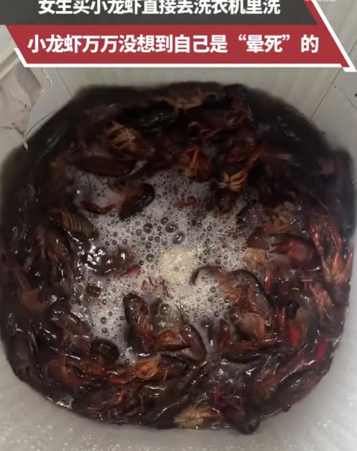 你敢信？有人把活蹦乱跳的小龙虾直接扔进洗衣机，按下启动键，十几分钟后捞出来，虾壳