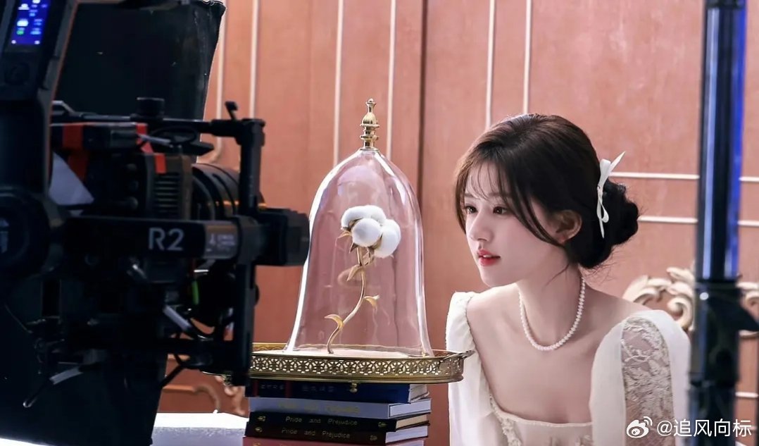 真的感觉这种风格是最适合赵露思的，不理解为什么现在是这种审美，不要再自己化妆了好