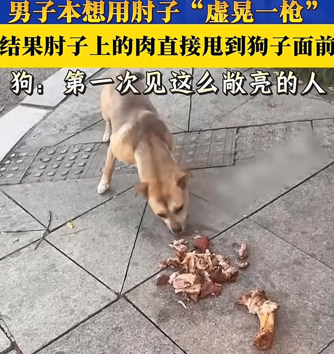 真敞亮！山东一男子分享一件趣事，本想拿肘子馋一下流浪狗，没想到，肘子煮得太烂，肉