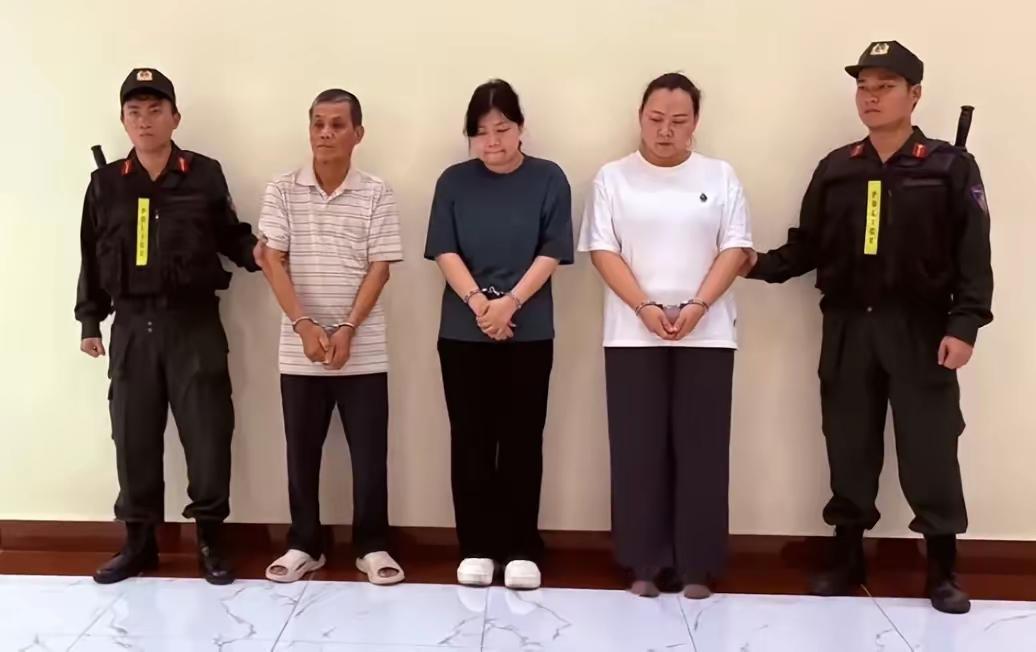 国产质量就是牛，轻松骗取越南政府三年！这一家三口，从浙江、广东正规工厂采购断路器