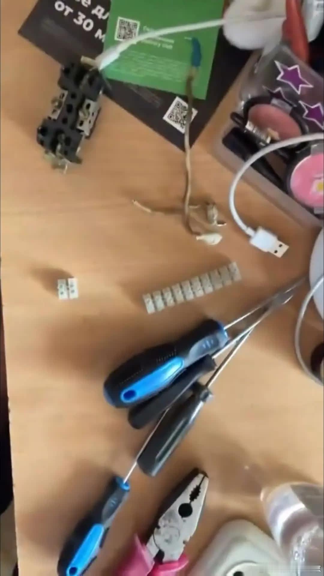 它满脸的问号❓萌宠宠物