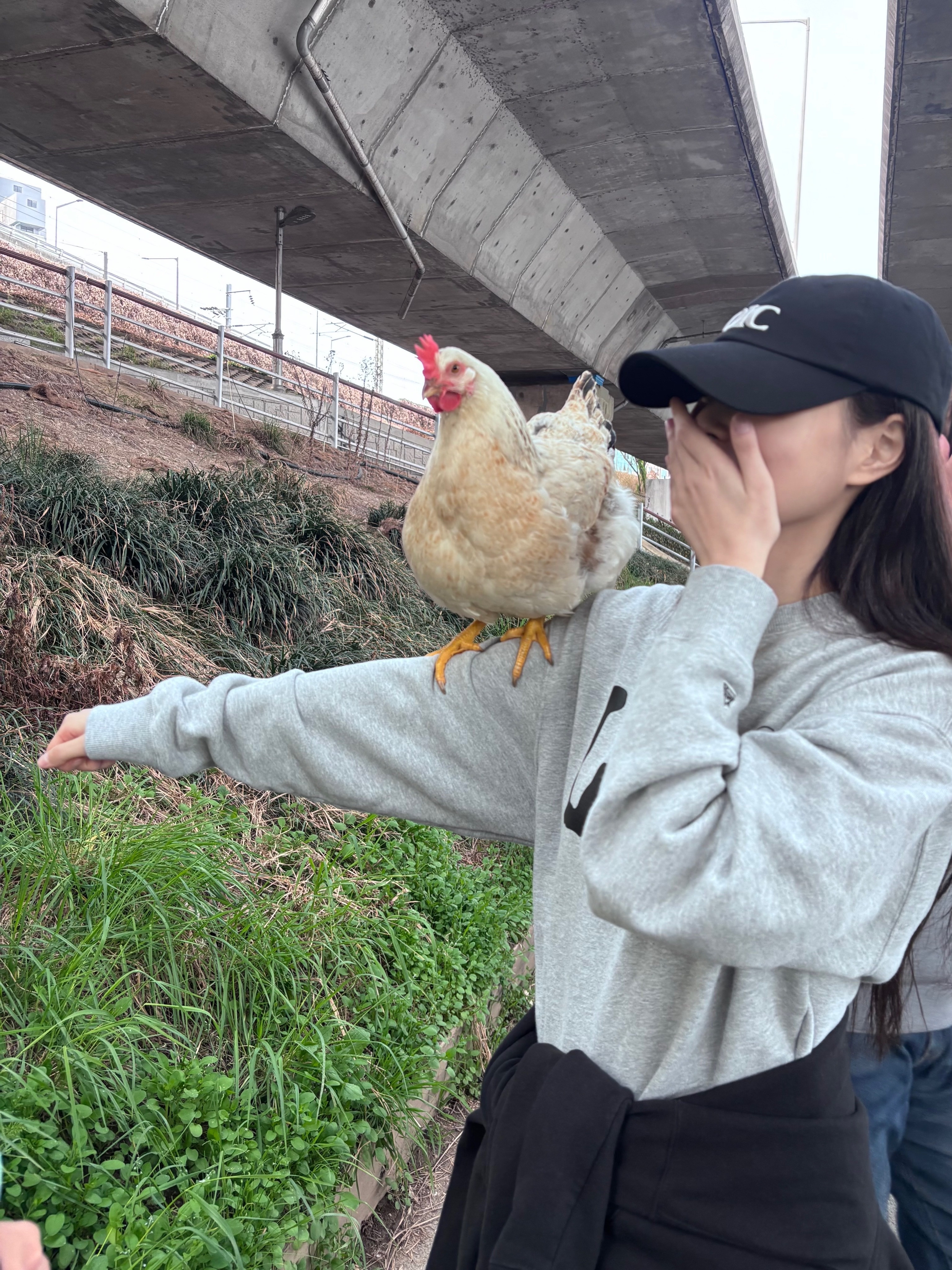 这个小女孩怎么胆子这么大