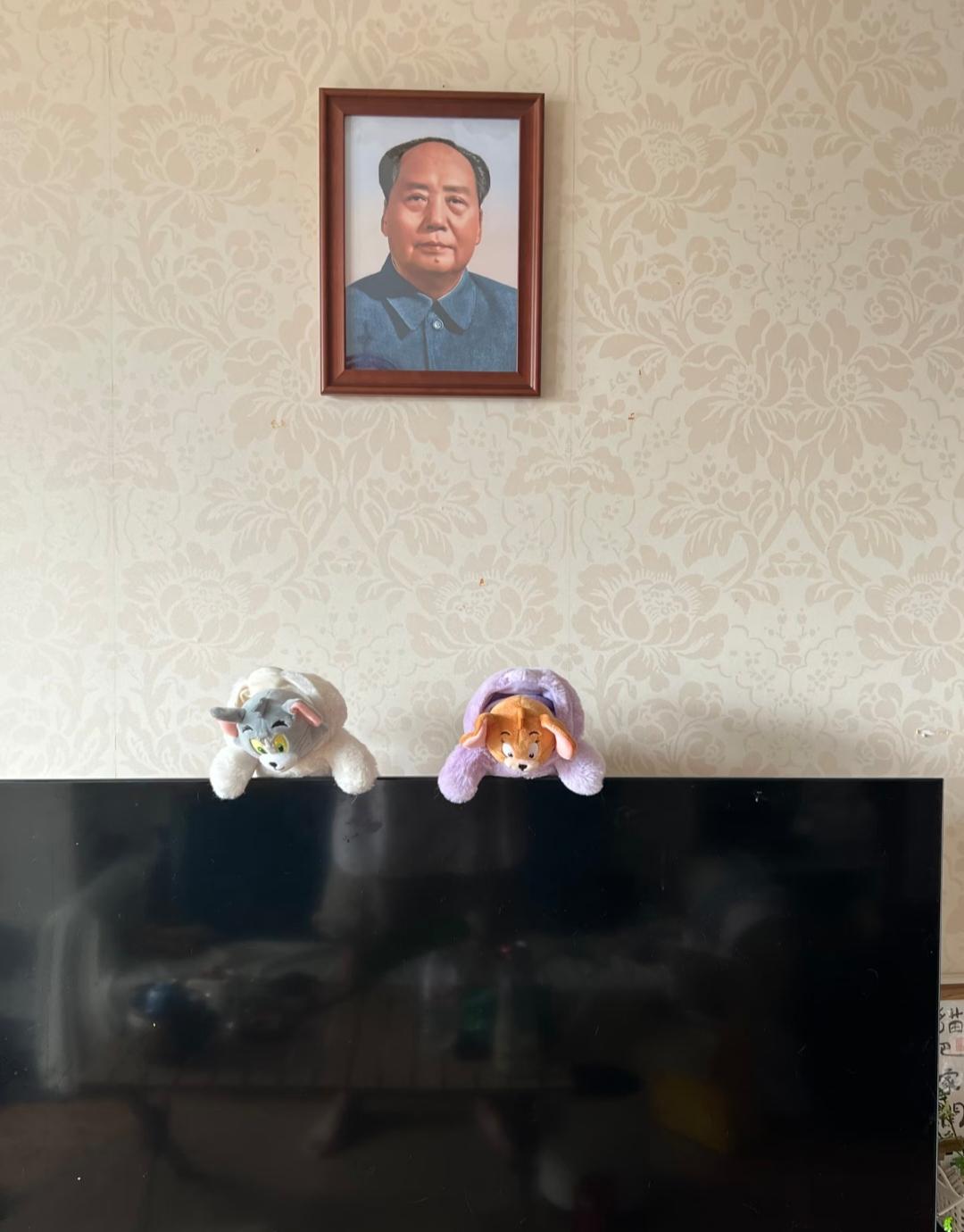 过年亲戚来家里串门一进客厅就笑了看见挂的毛爷爷就笑着说是不是想钱想疯了