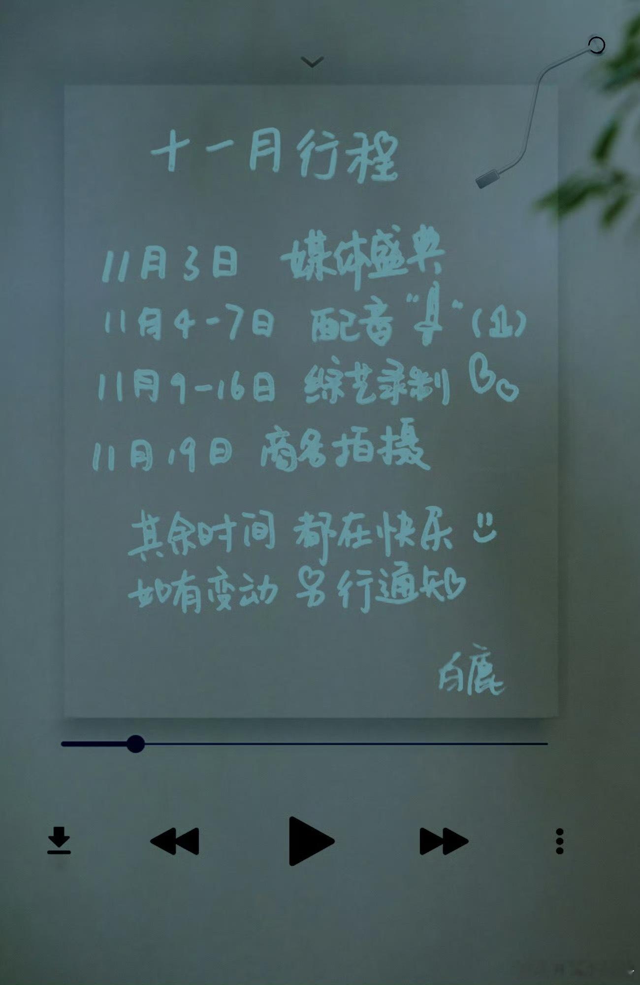 白鹿十一月行程图来啦🥹只能说本次行程图上的字又又又是白鹿亲自手写的一如既往