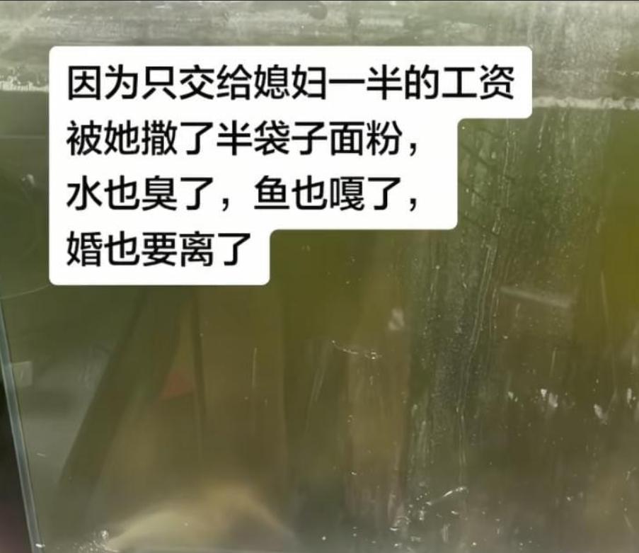 “这个女人太作了！”山东济南，男子不抽烟不应酬，唯一的爱好就是养鱼，为此坚持悉心