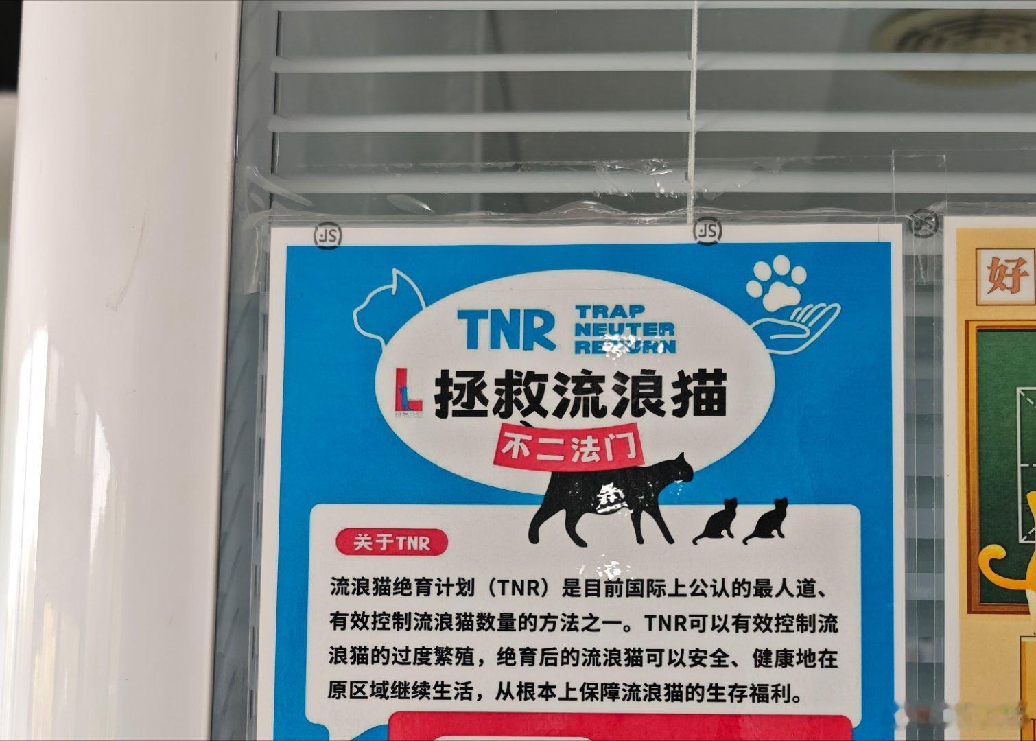 今天带小流浪来绝育，失去宝宝才一个多月又怀孕了🙁防不胜防，TNR真的是最好的
