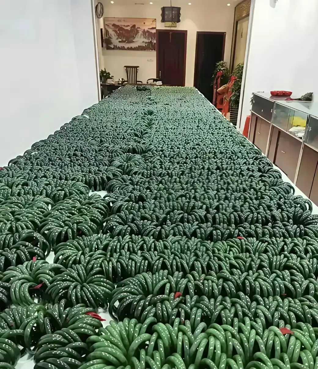 房子过剩，你们看这个呢？