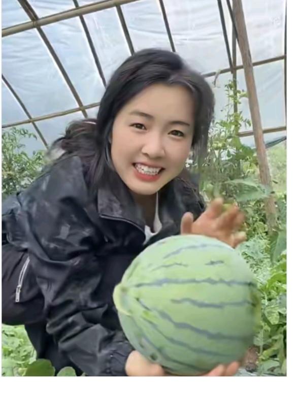 “瓜”真甜又是一年西瓜季；为了一个好价钱；年初在家就育种；然后就往大棚移