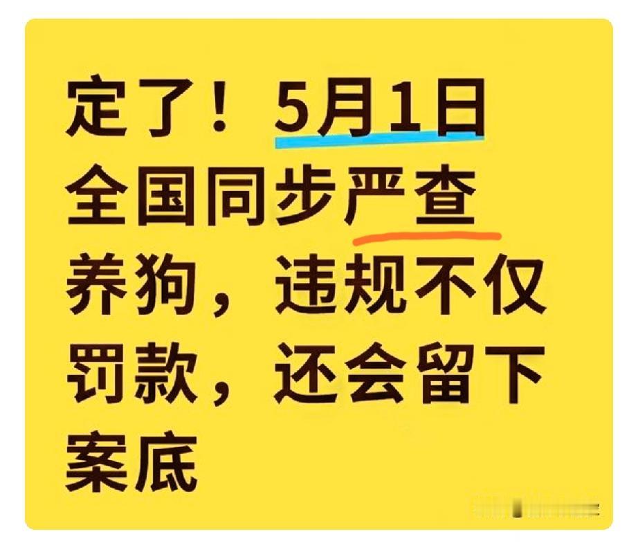重磅提醒！5月起全国统一整治养犬，养狗家庭抓紧自查！小区随处可见遛狗不牵