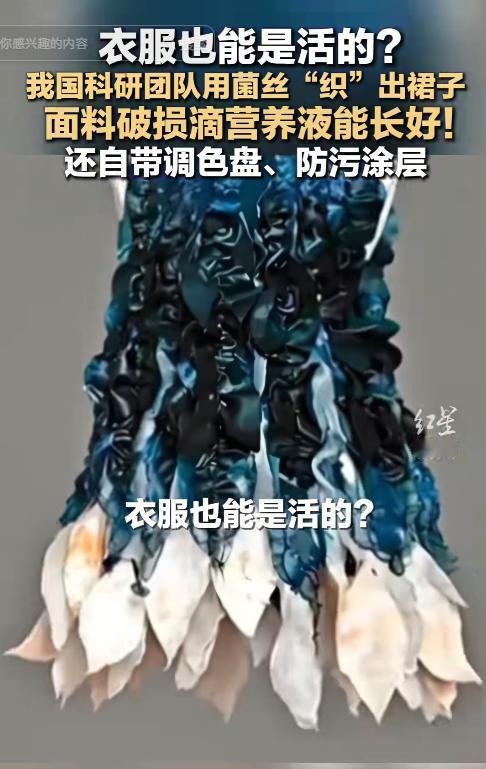 “上央视了！”深圳，中国科学院团队竟把“活着的菌丝”做成了连衣裙！这种面料在划伤