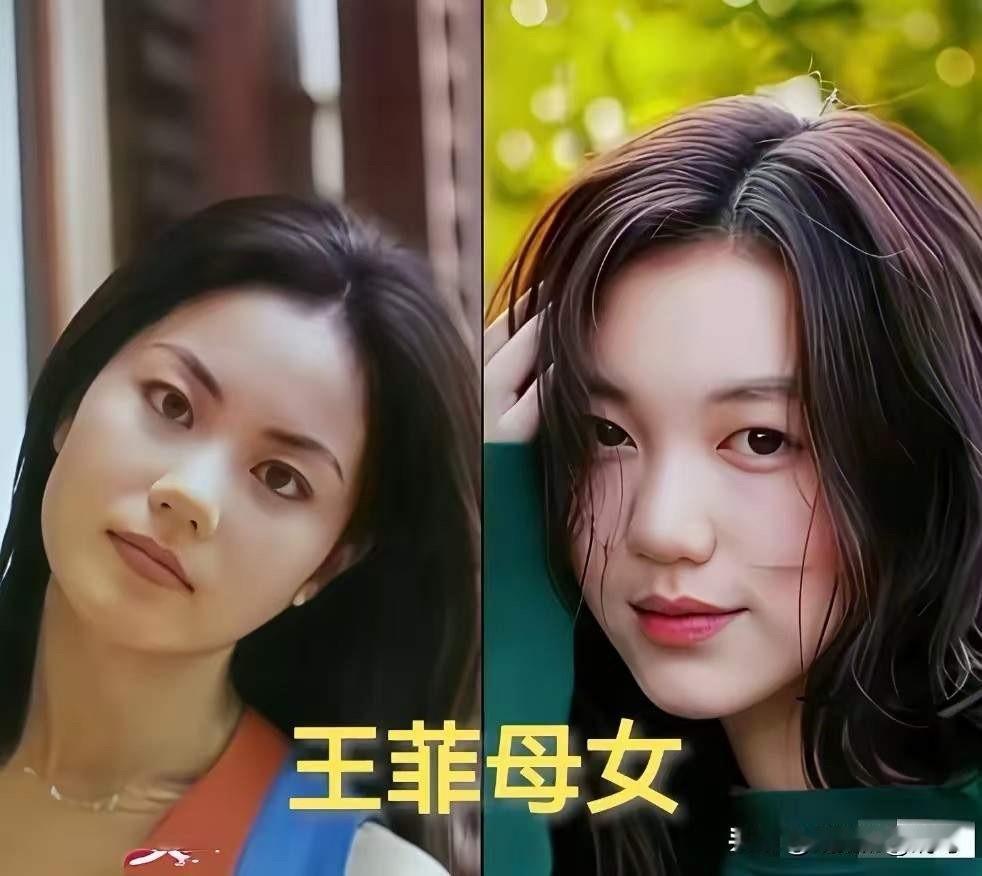 杨澜母女，气质太绝了。王菲母女，气质太绝了。左小青母女，气质太绝了。翁虹母