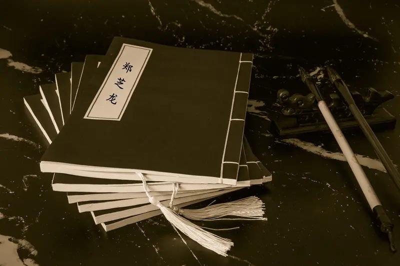 超级海盗郑芝龙的家族秘闻：从日本平户到反清英雄，背后隐藏的惊天大秘密！大家好